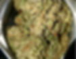Truffle Cake Pink Kush Strain Cannabis bud weed marijuana joints cheap ounces oz $50 North York Toronto 24 hours